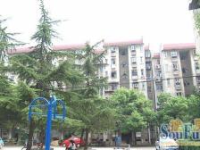 桃苑二区 装修好,环镜优美 视野好,诚心出售