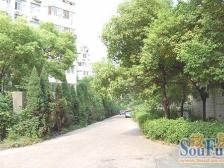 桃苑二区一房,小区停车方便,近地铁,公园配套齐全