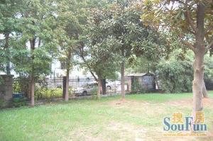 湖滨东路5号湖畔明珠苑供电局宿舍 南北通透,采光好 装修好,环镜优美 中间楼层