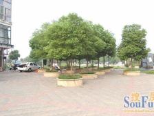 房子采光透风性好带露台,地铁口国威路站旁,中间楼层