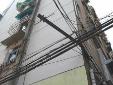 下凤凰坡 1室1厅 南