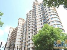 精装带家具家电 实用面积大 户型方正光线好 出入好