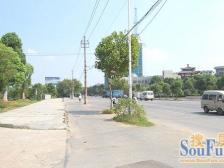 房东一手房源,出行便利,户型端正,楼层好