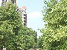 房东诚心出售,品质楼盘,楼层好,看中价格有谈