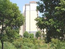 户型通透楼层好,精装修交通出入方便