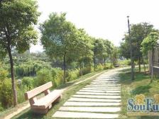 房屋户型端正,楼层好,采光充足