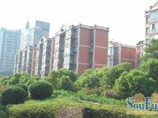 香江社区 3室2厅 南 北