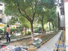 住舒适度视野开阔,南北通透,全天采光充足