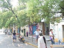 铁路二村 南北通透,采光好 中间楼层