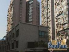 徐汇万体馆五轨交汇电梯双南精装100两房