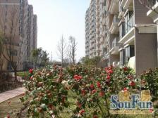 大场·上大阳光乾和园·3室·2厅