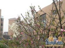 主卧朝南,环境优美,交通便利,居家装修