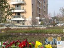 店长大力推荐,中环边独有电梯商品房,先到先得