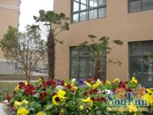 南大新城板块双地铁中间位置南北正气带大露台