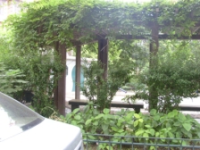 精装修,大2房;中区无遮挡,景观阳光好;诚意售