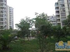 南北通大两房 东边套 采光好前后无遮挡看房方便诚意卖