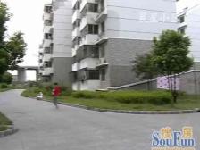 晨星小区 2室1厅 南 北