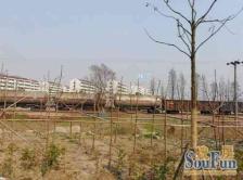 新桥·晨星小区·3室·2厅