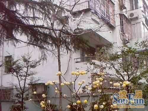 华灵路201弄小区