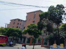 彭浦·阳曲路75弄·1室·1厅