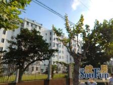 龙港新村 2室1厅 南