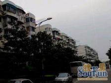 不限购宝龙广场商圈,宝钢三村两室一厅地铁房,毛坯房东诚意出售