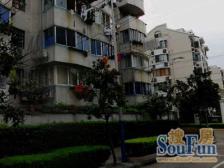 不限购宝龙广场商圈,宝钢三村两室一厅地铁房,毛坯房东诚意出售