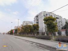 富弘苑4室南朝向630.00万元/套出售