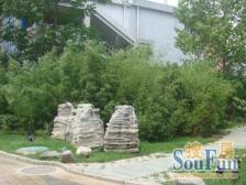 交大公寓 2室1厅 南 西南