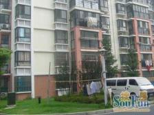 华亭新家百合苑 3室1厅 南