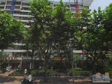 光大会展中心3室1厅东南