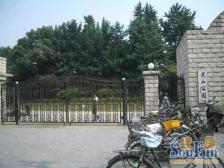 高区景观房,闹中取静