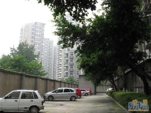 邮电局宿舍3室2厅东西