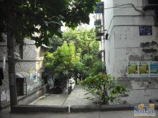 五里店 富强二村二房80万