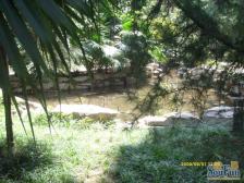 平常人家 5室2厅 南