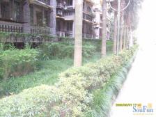 观音桥 桃花源小区二房55.8万