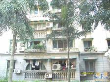 桃花源电梯 跃层 带屋顶花园