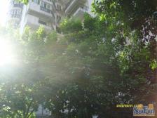 观音桥 桃花源小区五房154万