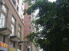 南坪万达旁,带30平屋顶花园,业主急售