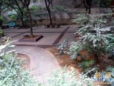 南坪 都市风采二房65万