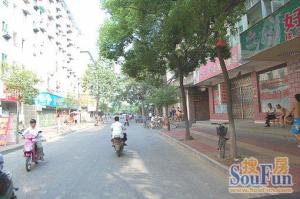 佘山路 南北通透,采光好 近地铁 视野好,诚心出售