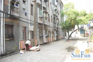 五纬路18号化纤厂宿舍 南北通透,采光好 装修好,环镜优美 视野好,诚心出售