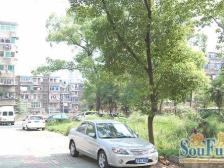 三经路经纬旁 江西制药厂宿舍南区