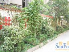 老城区全天太阳的大三房停车方便