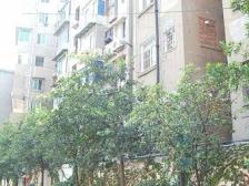 三面采光,小区环境好,出门是公园。读豫章中学。