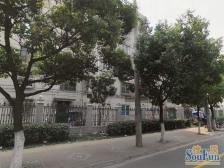 一梯三户,两房朝南,厨卫有窗,全明全亮