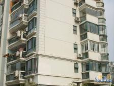 360度河景大复式,双南大露台,共三层,180平使用面积