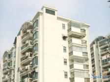 南北通1房,电梯高区,视野C位,采光充足