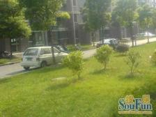 中原·民星路370弄·1室·1厅