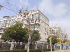 静安区 非顶楼 两房一厅 地铁900米 户型方正!!